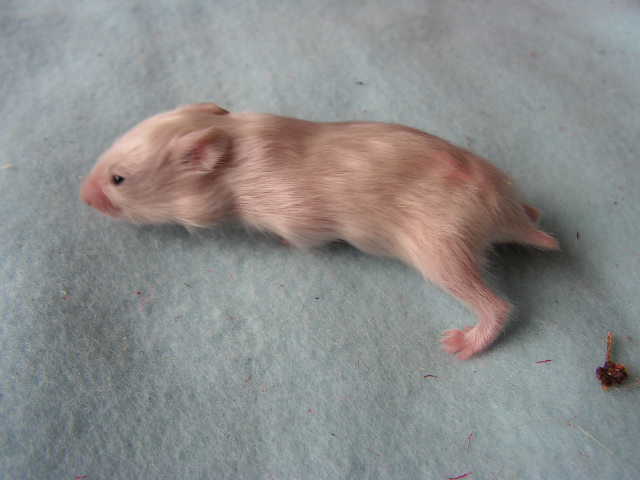 PICT0090.JPG