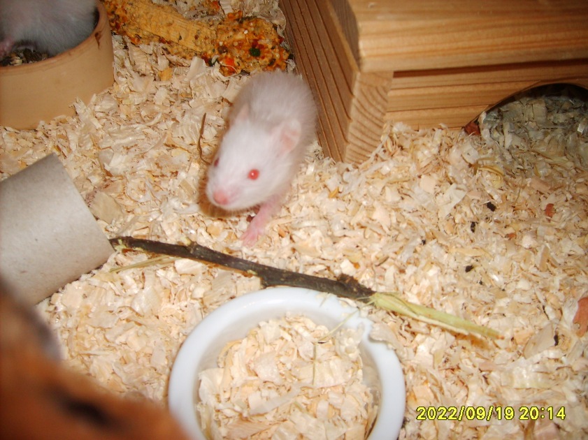 En cd-unge! 22 dage.JPG