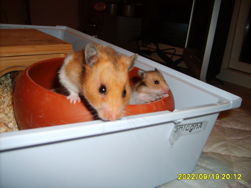 Mor og baby (22 dage).JPG