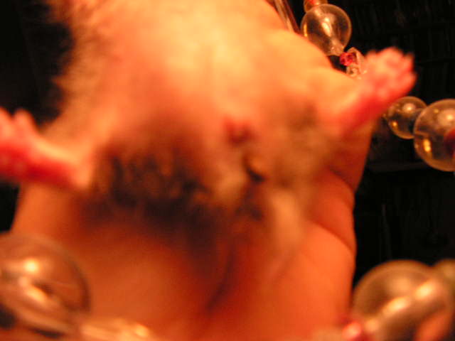 PICT0023.JPG