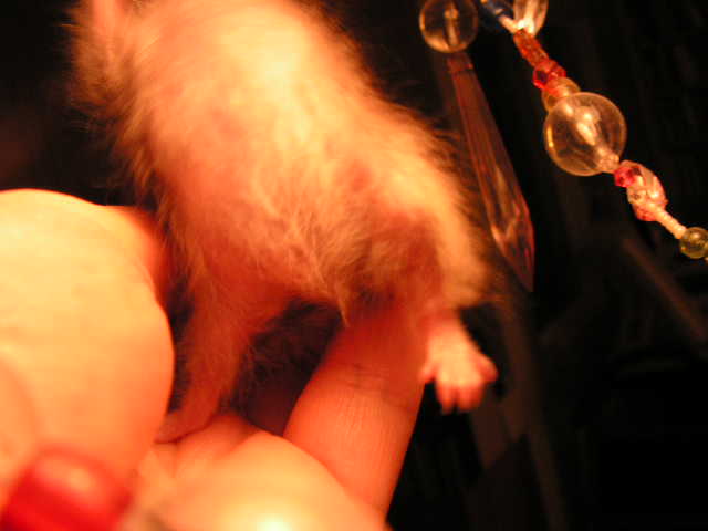 PICT0017.JPG
