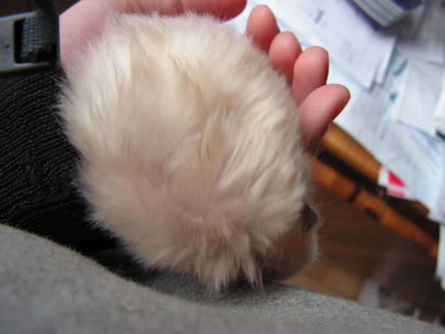 PICT0050.JPG