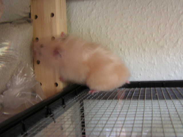 PICT0063.JPG