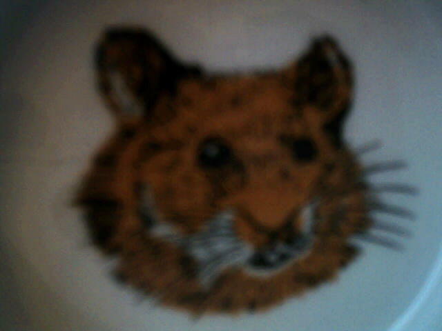 Motiv hamster.jpg