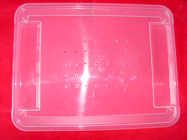 PICT0003.JPG