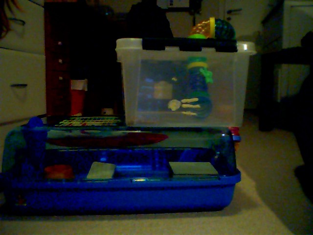 Picture 1284.jpg