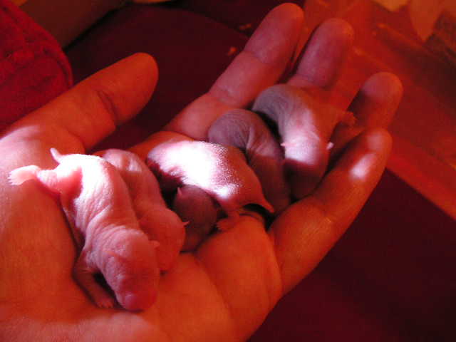 PICT0344.JPG