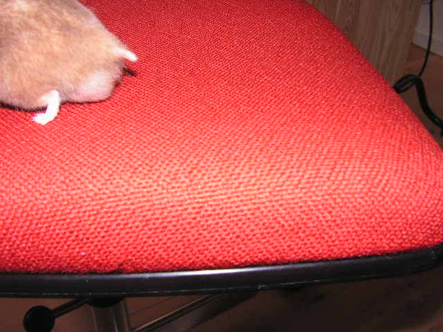 PICT0015.JPG