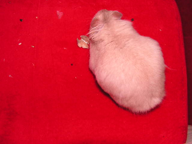 PICT0153.JPG