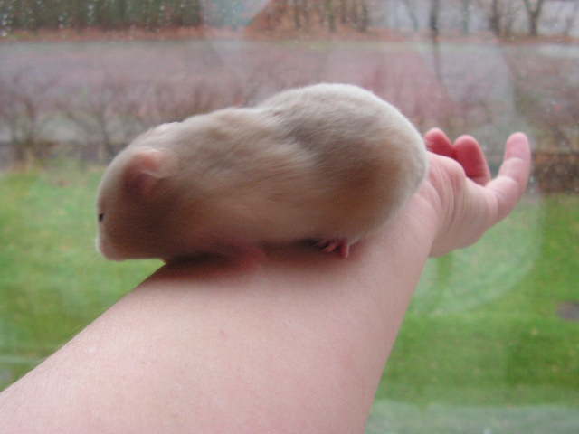 PICT0229.JPG