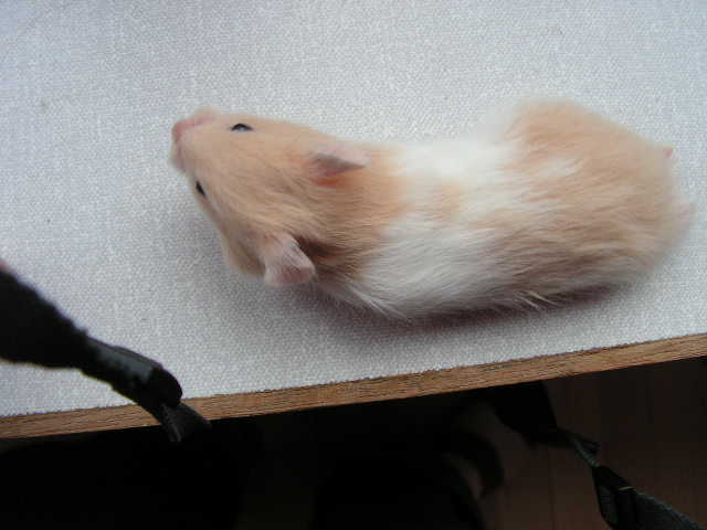 PICT0570.JPG