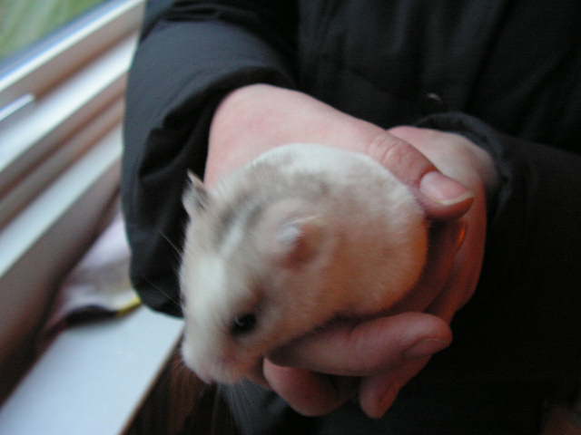 PICT0746.JPG