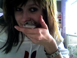 Snapshot_20081117.jpg