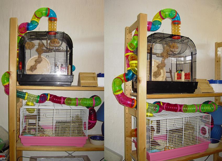 PICT1721     2.jpg