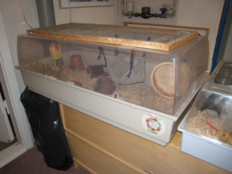 09-06-22 002.jpg