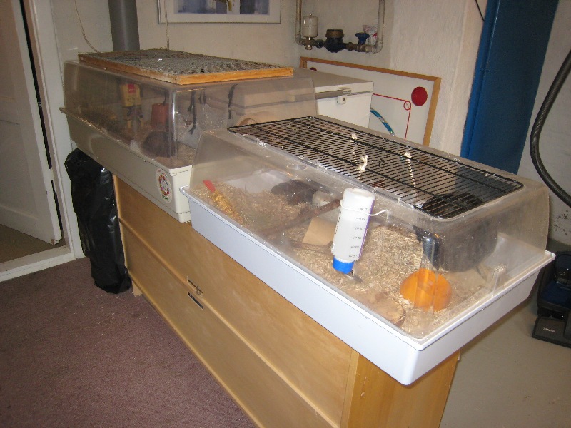 09-06-22 001.jpg