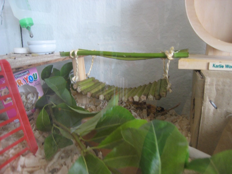 09-06-22 010.jpg