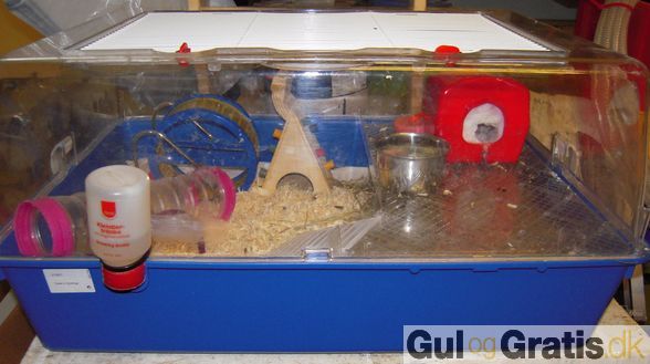 23844855_588_1700[1].jpg