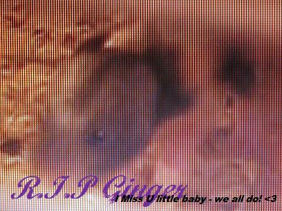 R.I.P Ginger.jpg
