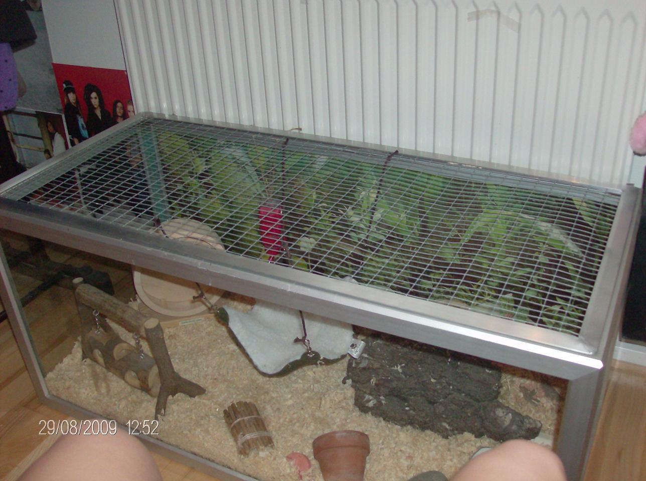 thits akvarie.jpg