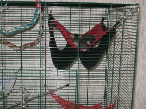 IMG_1009~1.JPG