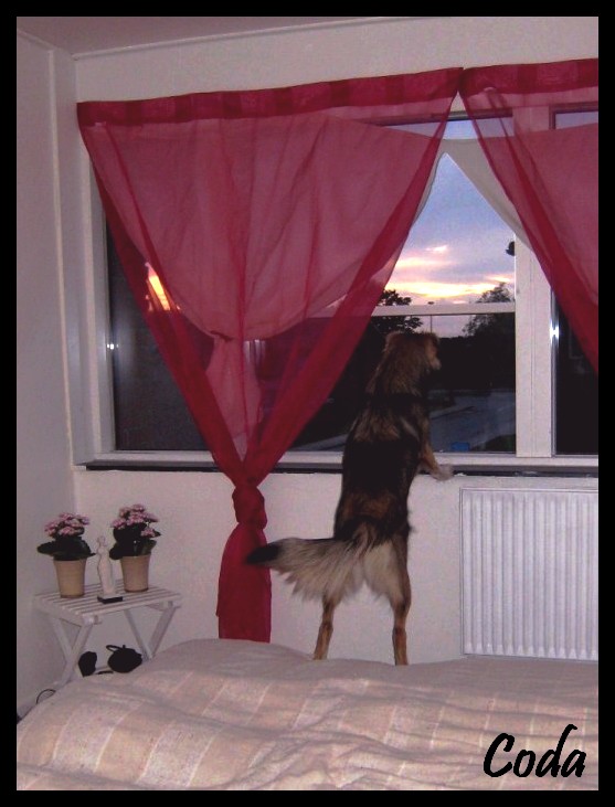 4.JPG