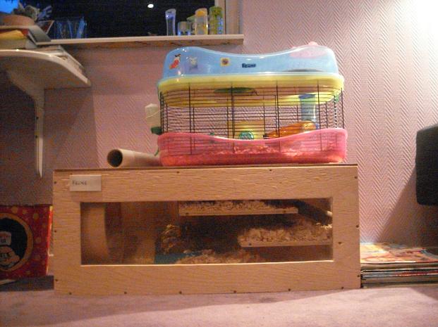 hamsterburting.jpg