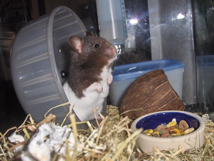 HPIM6017 Redigeret.jpg