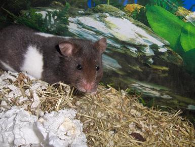 HPIM6000 Redigeret.jpg