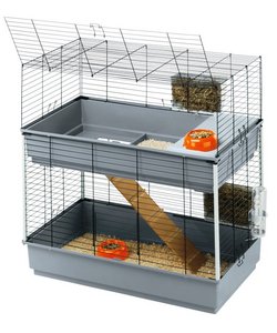 rabbit100double.jpg